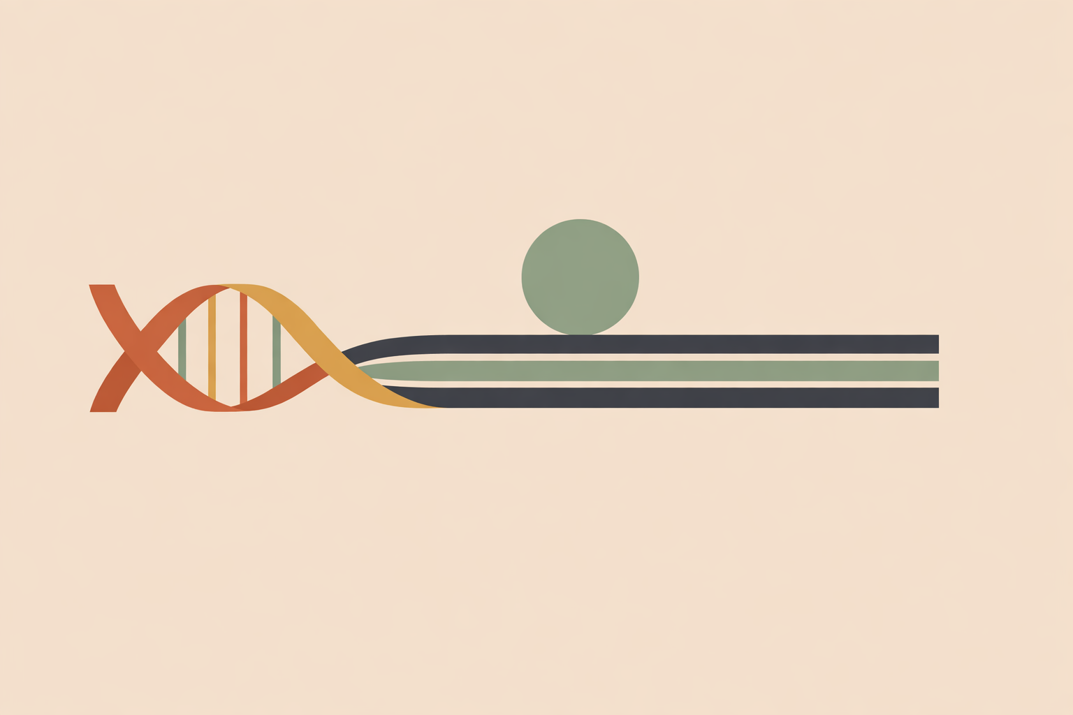 Practitioner reviewing colorful DNA strand graphic while planning personalized wellness practice strategy