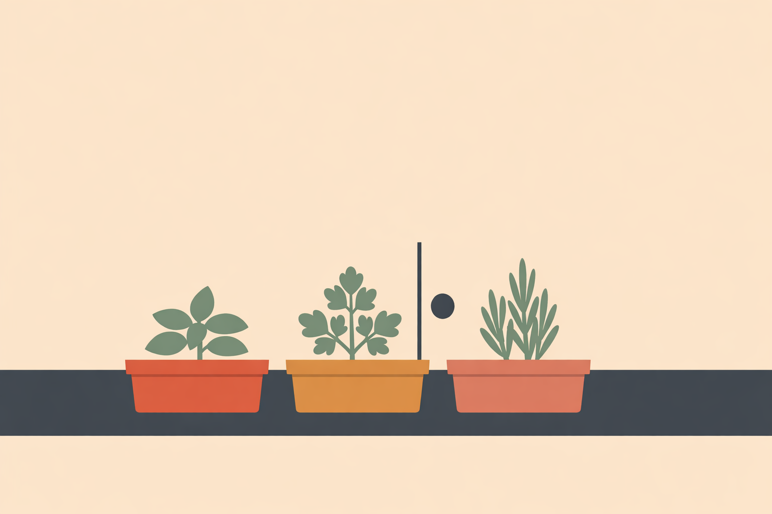 Employee tending a small indoor herb garden on a desk, demonstrating simple steps to grow an herb garden for work