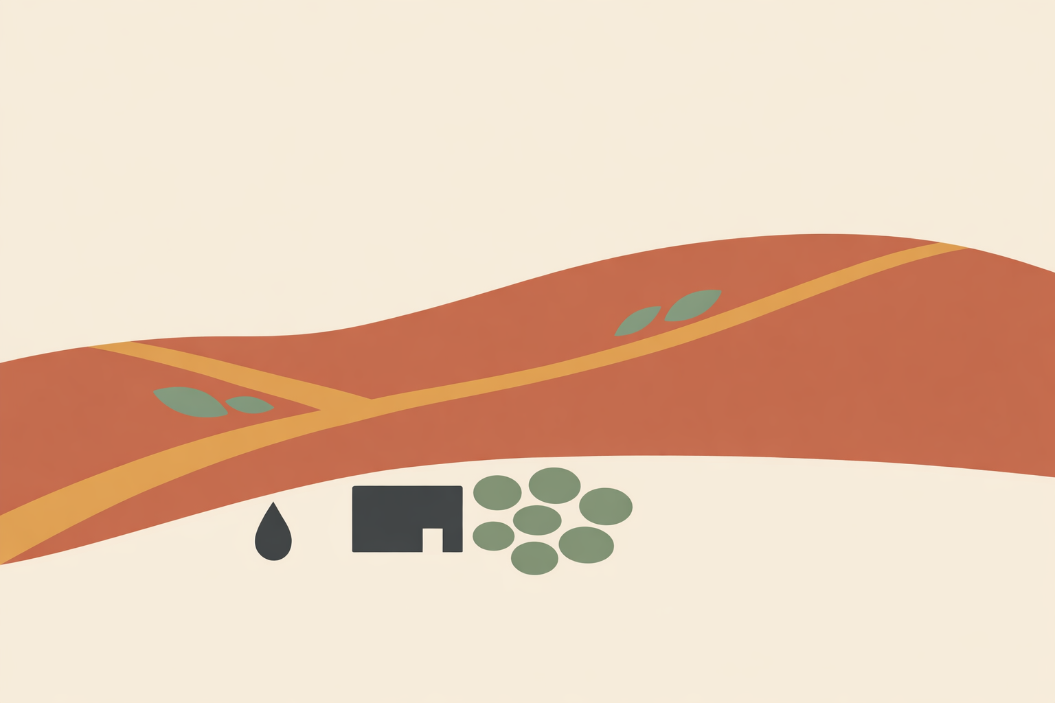 Gardener applying permaculture ethics while planning diverse garden beds and water-efficient design paths