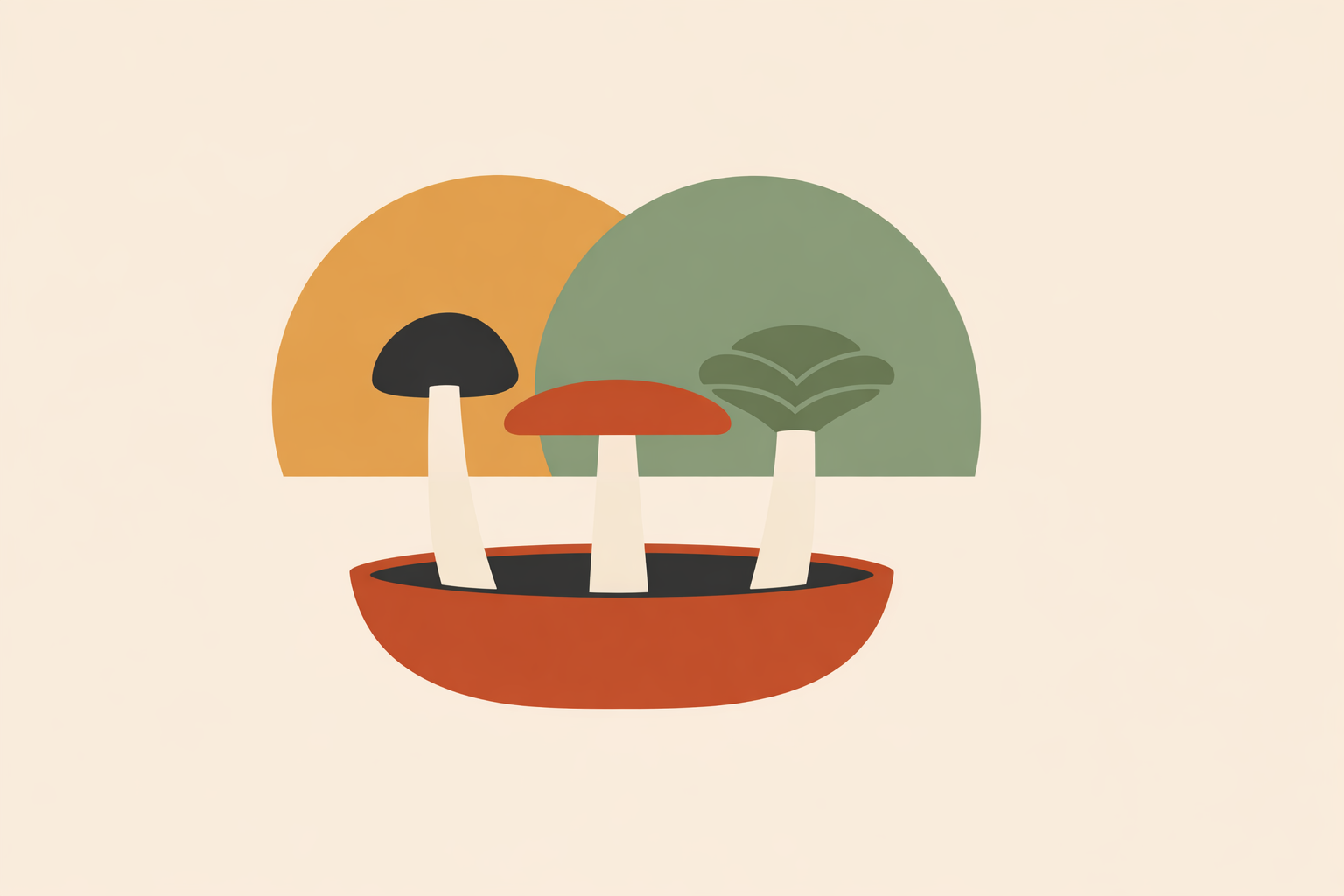 Practitioner holding assorted medicinal mushrooms while explaining real-life benefits to holistic health client