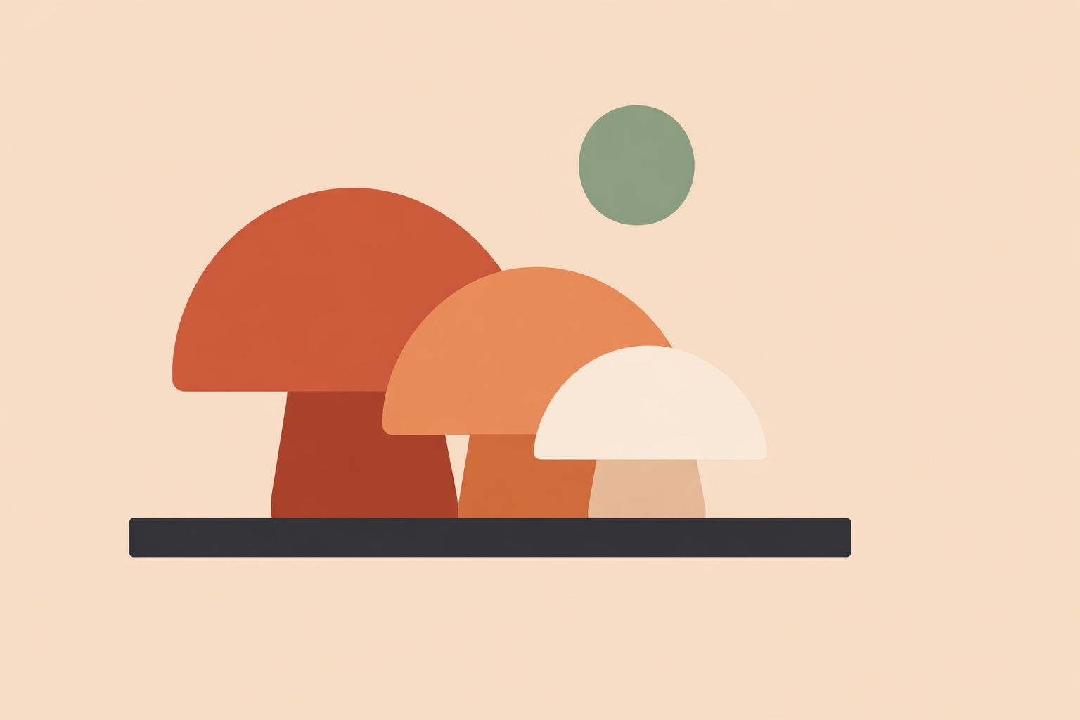 Coach explaining mushroom extraction methods to a wellness client while planning personalized supplement protocols