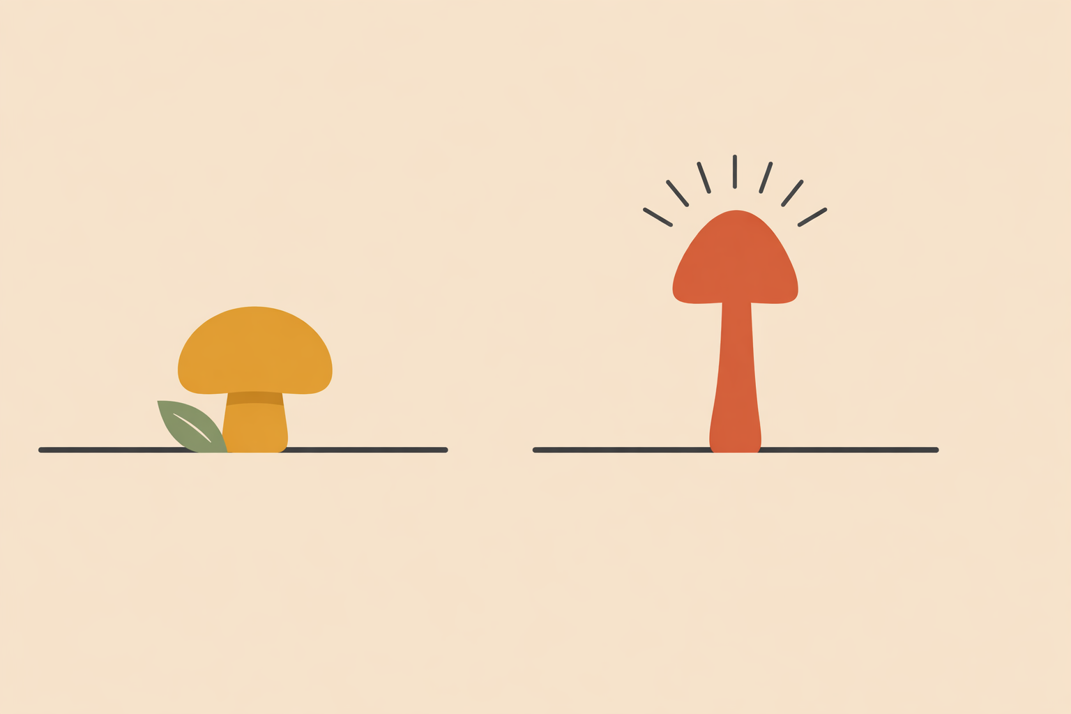 Person comparing functional vs psychedelic mushrooms on a table, illustrating ethical choices in therapeutic use