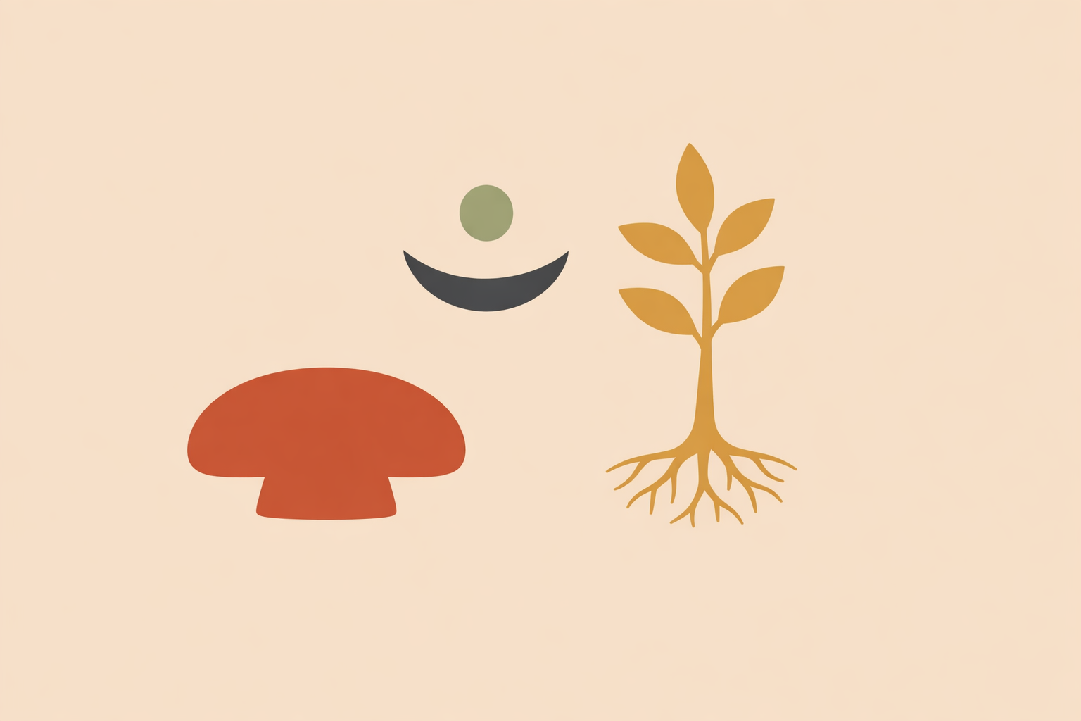 Nutrition practitioner comparing reishi and ashwagandha supplements while counseling a stressed client