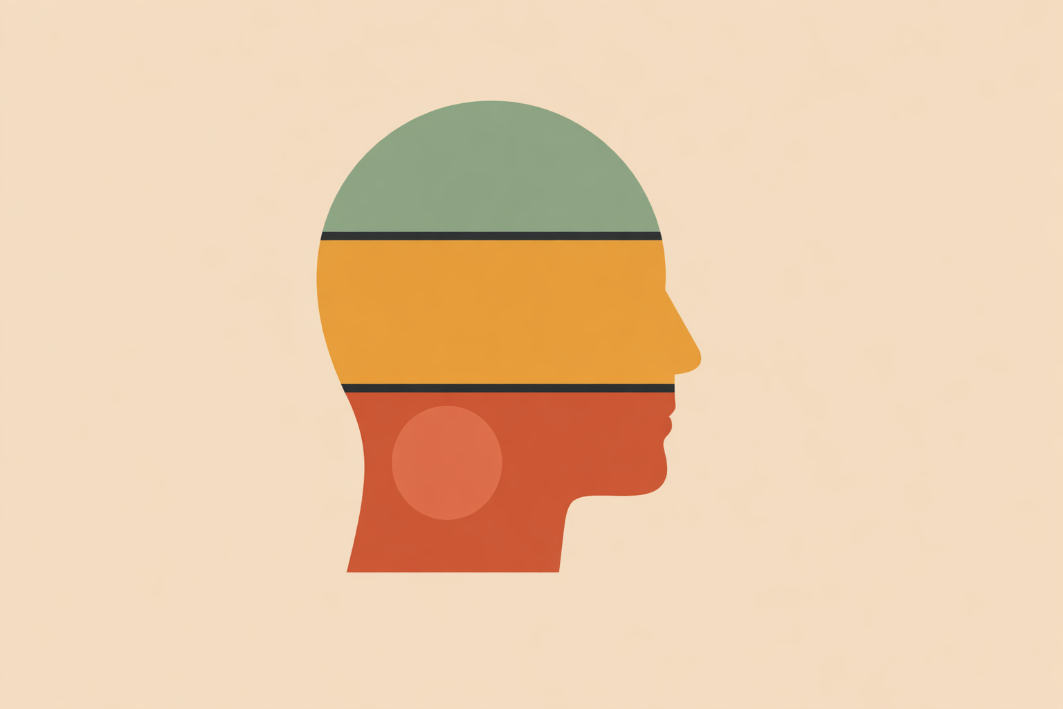 Therapist using brain diagram to explain how stress affects the brain to an anxious client in session