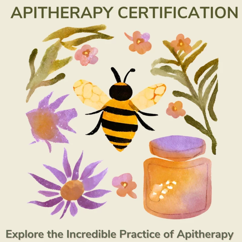Apitherapy Practitioner Certification